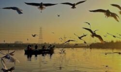 Yamuna Ghat